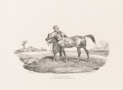 En arabisk hest af Theodore Gericault