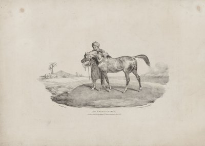 En arabisk hest af Theodore Gericault