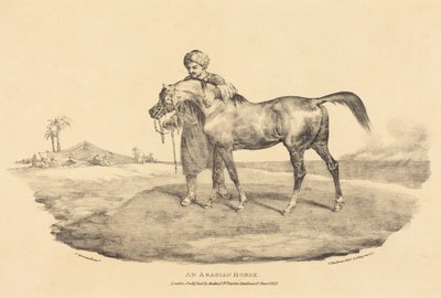 En arabisk hest af Theodore Gericault
