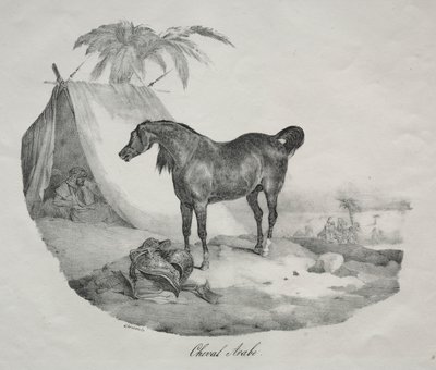 arabisk hest af Theodore Gericault