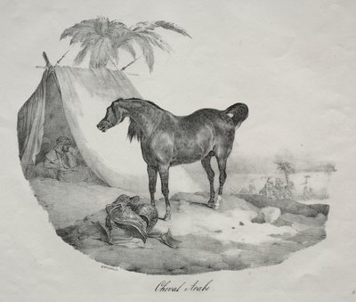 Arabisk hest af Theodore Gericault