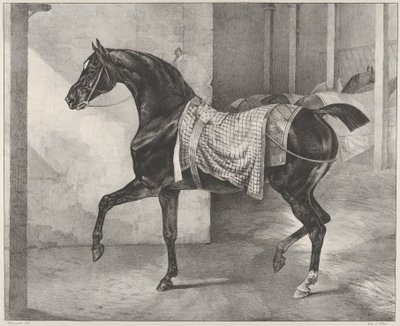 En sort hest bundet i en stald af Theodore Gericault