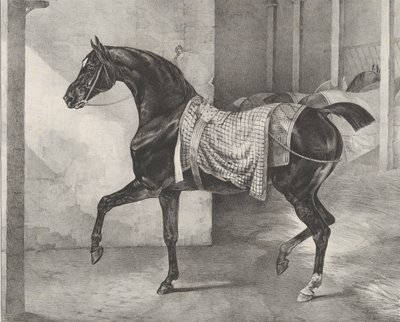 Sort hest bundet i en stald, 1822. af Theodore Gericault
