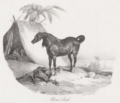 Den arabiske hest (An Arabian Horse) af Theodore Gericault