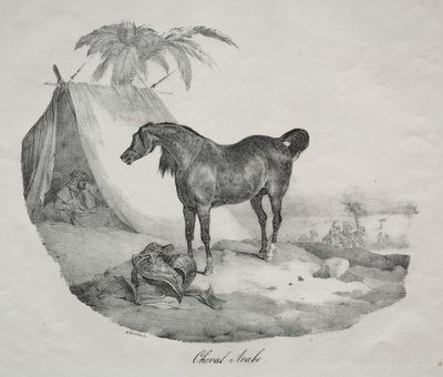 arabisk hest. af Theodore Gericault
