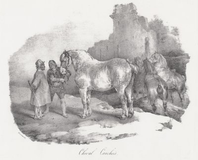 Cheval Cauchois (en lokal hesterace fra Caux i Normandiet) af Theodore Gericault