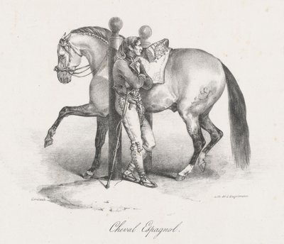Spansk hest (A Spanish Horse) af Theodore Gericault