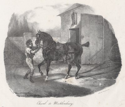 Mecklenburg-hest (A Mecklenburg Horse) af Theodore Gericault