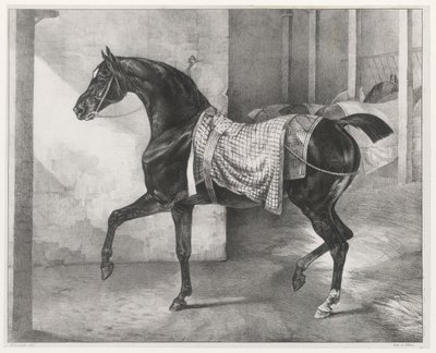 En sort hest bundet i en stald (A Black Horse Tethered in a Stable) af Theodore Gericault