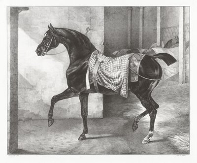 En sort hest bundet i en stald (A Black Horse Tethered in a Stable) af Theodore Gericault