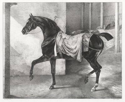 En sort hest bundet i en stald (A Black Horse Tethered in a Stable) af Theodore Gericault