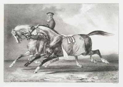 To grå heste med pletmønster, der bliver ført på tur (Two Dapple-Grays Being Exercised) af Theodore Gericault