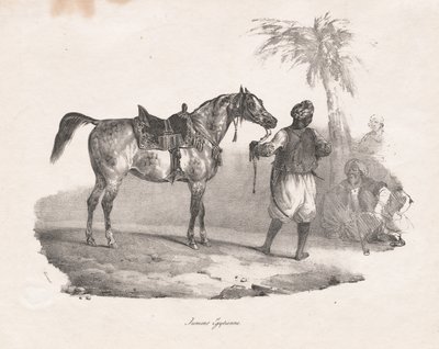 egyptisk hoppe af Theodore Gericault