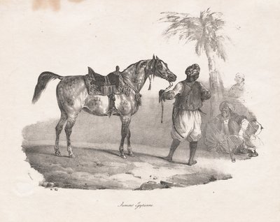 Egyptisk hoppe af Theodore Gericault