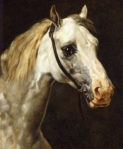 Hovedet af en broget hest, af Theodore Gericault