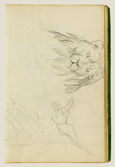 Forsidebillede af en siddende løve af Theodore Gericault
