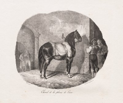 Hest fra Caen-sletten af Theodore Gericault