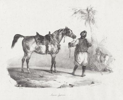 Egyptisk hoppe (An Egyptian Mare) af Theodore Gericault
