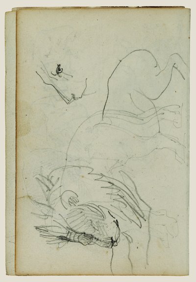 Studier af løver af Theodore Gericault