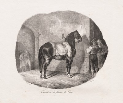 Litografiske undersøgelser af heste: Pl. 7, Hest fra Caen-sletten af Theodore Gericault