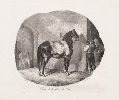 Litografiske undersøgelser af heste: Pl. 7, Hest fra Caen-sletten, 1822. af Theodore Gericault