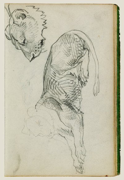 Siddende løve, hoved af løvinde af Theodore Gericault