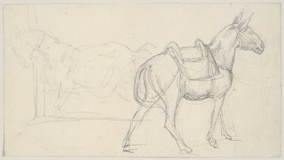Tegning af en hest af Theodore Gericault