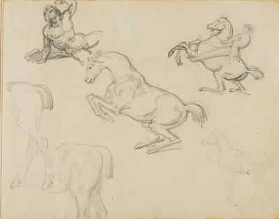 Skitser: Liggende nøgen, en rytter og forskellige heste af Theodore Gericault