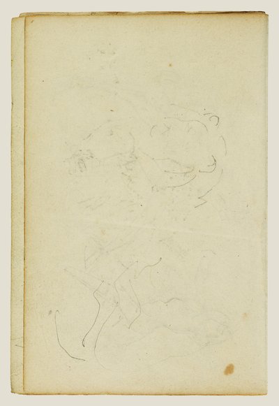 Skitser af hovedet og bagbenene på en løve af Theodore Gericault
