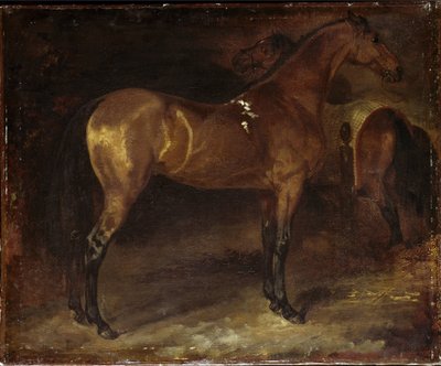 Spansk hest - olie på lærred af Theodore Gericault