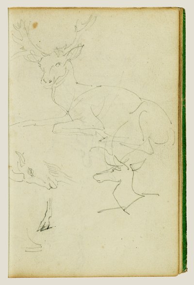 Studier af en siddende hjort, en hjortekalv og et gedhoved af Theodore Gericault