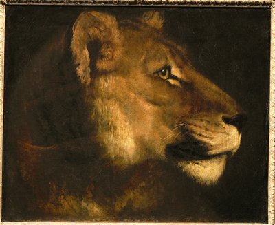 Tete de lionne. Hovedet af en løvinde ... af Theodore Gericault