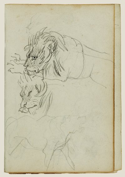 Tre løvestudier af Theodore Gericault