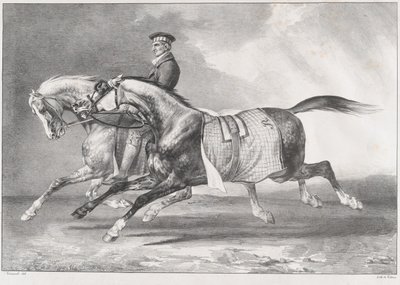 To gråspættede heste, der bliver trænet af Theodore Gericault