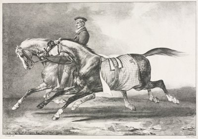 To plettede heste i motion, 1822. af Theodore Gericault