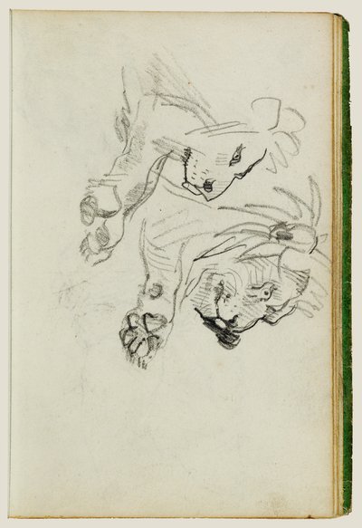 To undersøgelser af løver af Theodore Gericault