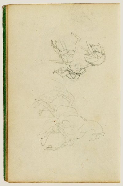 To undersøgelser af en opdrætshest af Theodore Gericault