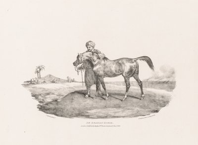 Forskellige motiver tegnet efter naturen og på sten: En arabisk hest af Theodore Gericault