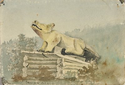 Indianergrav. Ulvetotem over medicinmandens grav, Wrangell af Theodore J. Richardson