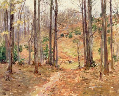 Virginia Woods, 1893 af Theodore Robinson
