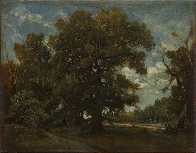 Egetræet af Theodore Rousseau