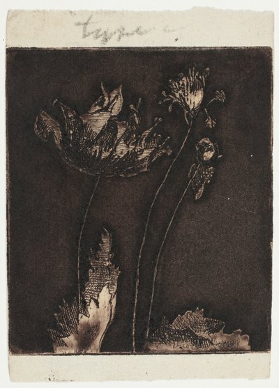 Sidste valmuer af Theodore Roussel