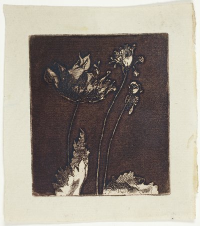 Sidste valmuer af Theodore Roussel