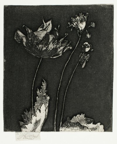 Sidste valmuer af Theodore Roussel