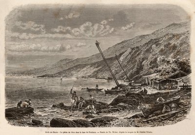 Tunfiskeri i Proelucca-bugten (Fiume-bugten eller Rijeka, Istrien), udsigten over fiskebankerne sidder på høje skalaer og fortæller fiskerne om deres hold eller kaster deres net langs kysten. Stik efter T.Webers tegning, til illustration af en historie om  af Theodore Weber