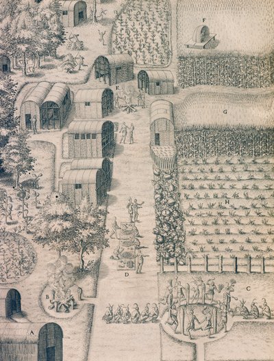 En indfødt indisk landsby omgivet af dyrket jord i Virginia af Theodore de Bry
