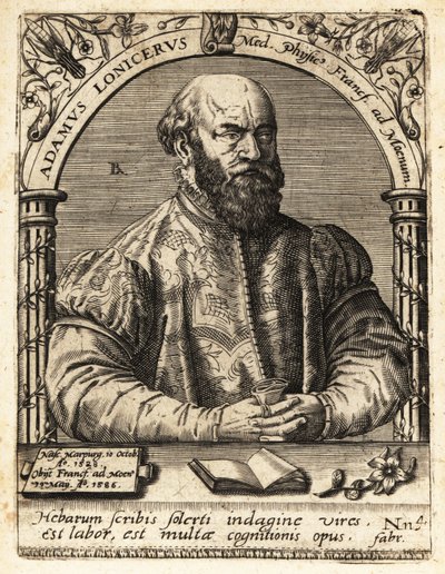 Adam Lonicer eller Lonitzer af Theodore de Bry