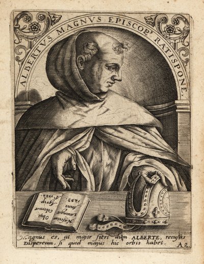 Albertus Magnus af Theodore de Bry