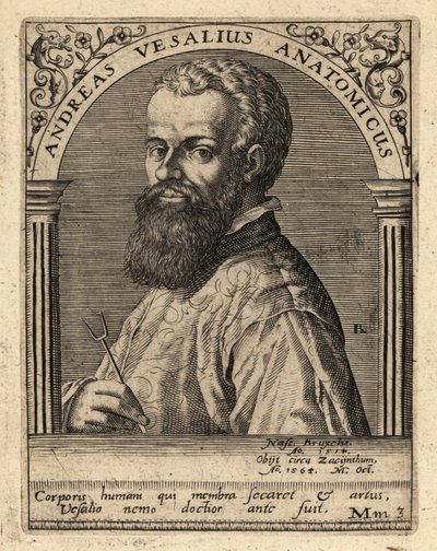 Andreas Vesalius, flamsk læge, anatom af Theodore de Bry