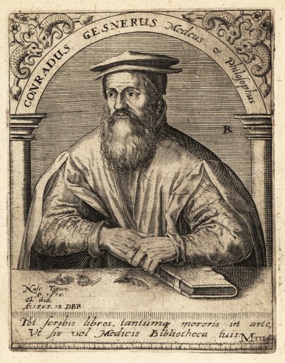 Conrad Gessner, schweizisk læge af Theodore de Bry